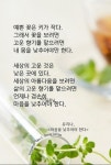인생의 신호등