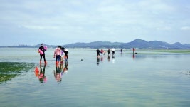 대천 펜션 서해 갯벌체험 펜션 보령 숙소.단체.가족 추천