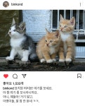 묘치원