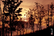 해 저물어 석양빛 저녁노을