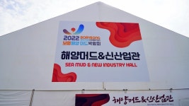 보령머드축제 대천 보령해양머드박람회 후기