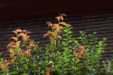 8월 초입 스케치