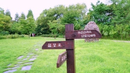 경기도 광주 가볼만한곳, 비올때 드라이브 코스로 가기 좋은 경안천습지생태공원