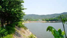 부산 갈만한곳 갈맷길 부산 관광지 회동수원지 둘레길 산책