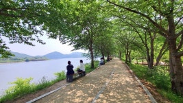 부산 갈만한곳 갈맷길 부산 관광지 회동수원지 둘레길 산책