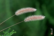 가을길 가을빛 신바람 룰루랄라