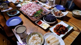 제주시 횟집 추천 제주도 삼치회 맛집 다미회(제주시청 횟집)