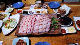 제주시 횟집 추천 제주도 삼치회 맛집 다미회(제주시청 횟집)