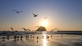 태안 가볼만한곳 안면도 꽃지해수욕장 일몰 사진 잘 찍는법