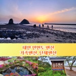 태안펜션 안면도 펜션 안면도 숙소 단체펜션 가족펜션 송우펜션