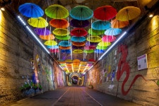 문경 가볼만한곳 베스트10 사계절 내내 오미자 테마터널의 화려한 빛 속에서