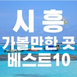 시흥 가볼만한곳 베스트10 - 시흥갯골생태공원 거북섬
