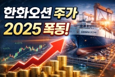 한화오션 주가 : 2025년 연초대비 200%대 상승원인과 향후 전망