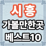 시흥 가볼만한곳 베스트10 서해안 호수공원 가족여행
