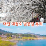 대전 가볼만한곳 대전 벚꽃명소 종결: 2026 대덕물빛축제 라인업 및 대청호 마라톤 정보