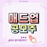 매드업 공모주 청약 일정 정보 총정리, AI 디지털 마케팅 기업 상장 분석