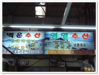 수원시 농수산물시장...영일수산...