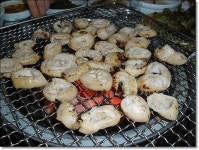 [부산/서동] 단골이 되고 싶은 막창집 - 송광 숯불막창 -