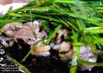 [분당/맛집] 태재고개의 감골오리 분당점 - 부추 오리가.. 끝내줘요~!!