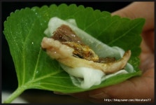 경남진주시 차돌배기란 이런것이다!!!목넴기식육식당(한우소고기모듬)