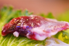 [부산/연산동] 참치 전문점 스페셜 코스 - 난바다 -