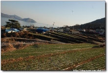 남해 가천 다랭이 마을을 가다.