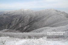 소백산 천문대길 눈꽃과 상고대 1