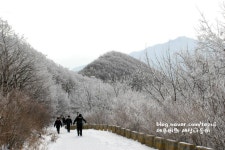 소백산 천문대길 눈꽃과 상고대 1