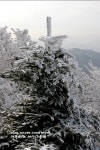 소백산 천문대길 눈꽃과 상고대 1