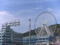 부산의 매력,봄날의 즐거움... 광안리 수변공원/민락어민활어직판장