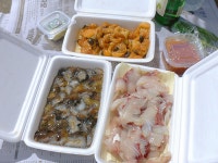 부산의 매력,봄날의 즐거움... 광안리 수변공원/민락어민활어직판장