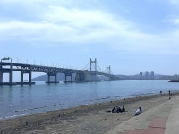 부산의 매력,봄날의 즐거움... 광안리 수변공원/민락어민활어직판장