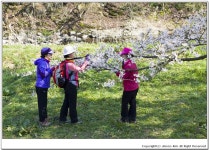 추억이 잠들어있던 선운사의 봄이 지나가는 풍경