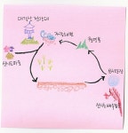[전북 군산] 신시도, 새로운 역사를 그리다! : 월영산 트레킹