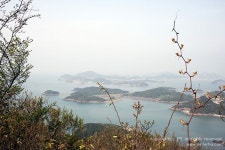 [전북 군산] 신시도, 새로운 역사를 그리다! : 월영산 트레킹