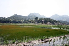 [전북 군산] 신시도, 새로운 역사를 그리다! : 월영산 트레킹