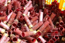 Foto hasil pencarian Naver 5