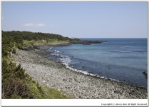 [올레 8코스] 대평포구까지 조용히 걸었던 해변길