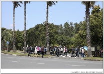 [올레 8코스] 대평포구까지 조용히 걸었던 해변길