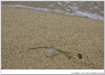 송정해변에서 조용하고 여유있게 즐기는 여름