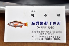 영도구 남항동 매콤새콤 깔끔한 물회  포항물회1번지 