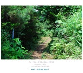 [제주올레 5코스。D80] 제주도에 동백나무 정말 많네~