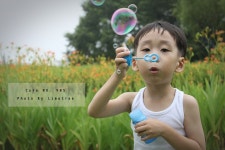 지금 호수공원엔..