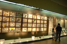 목포 자연사 박물관으로 떠나는 가족여행