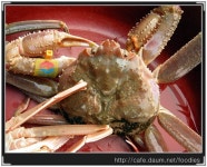 여성포털 이지데이 - Life is Beautiful, ezday