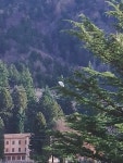 황로 from Acquarossa Comprovasco, 6716 Acquarossa, Svizzera on 2022년 01월 03일 (월) at 11:23 오전 by moniwyder · iNaturalist... 