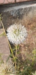 Harisingh Gour Central University, Sagar, Madhya Pradesh 470003, India on 2022년 03월 10일 (목) at 11:00 오전 by Surabhi... 