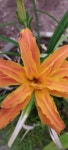 Harisingh Gour Central University, Sagar, Madhya Pradesh 470003, India on 2022년 06월 13일 (월) at 11:44 오전 by Surabhi Suman... 