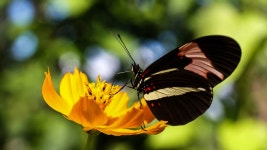 at 10:30 오전 by manequinho. Postado em 23/10/2022 - Peço ajuda aos amigos na identificação das imagens. Fotos foram feitas... 