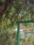 집참새 from Краснодар, Краснодарский край, Россия, 350038 on 2023년 10월 16일 (월) at 10:46... 